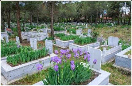 Fatehjhang Graveyard